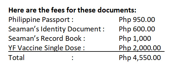 Computation of basic travel documents like passport, seaman's book, yellow fever vaccine, and their amount.