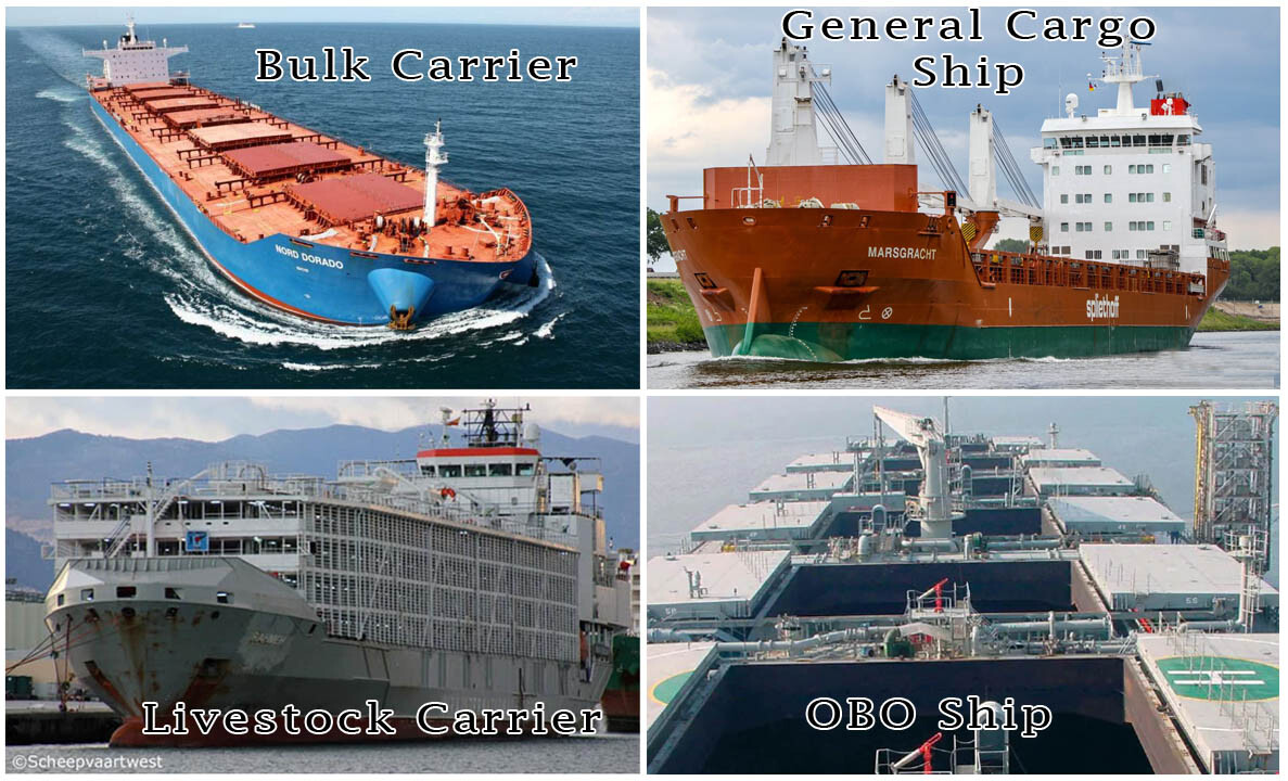 Dry Cargo Merchant Ships: Bulk Carrier, General Cargo Ship, Livestock Carrier, and OBO Ship.