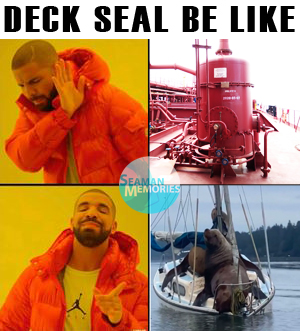 A meme for deck seal wherein the first image shows the actual deck seal equipment of a tanker vessel on deck and the second equipment are actual seals on the deck of a yacht.