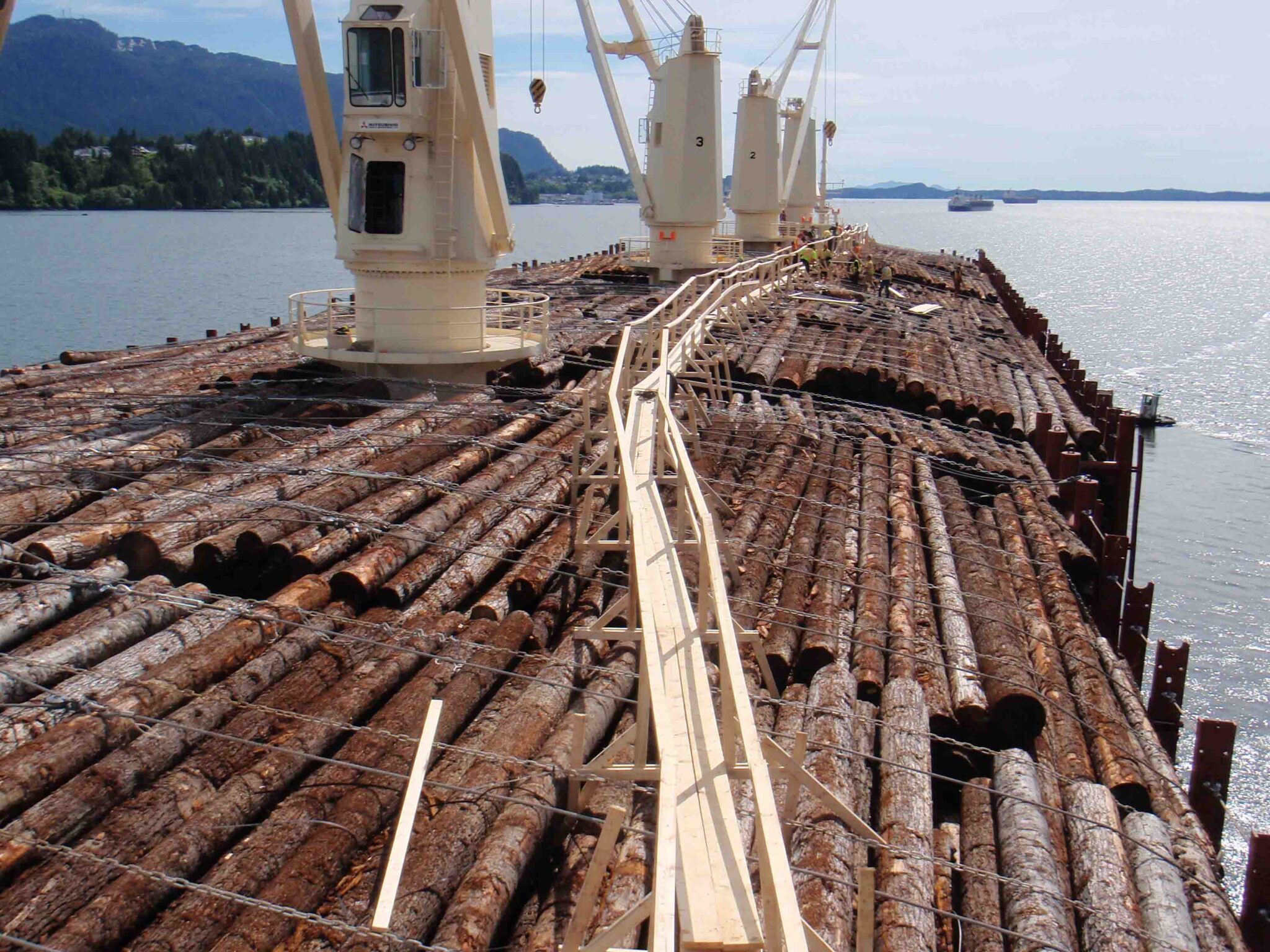 Logs securely stowed with chains and wires on top of a Lumber Carrier.