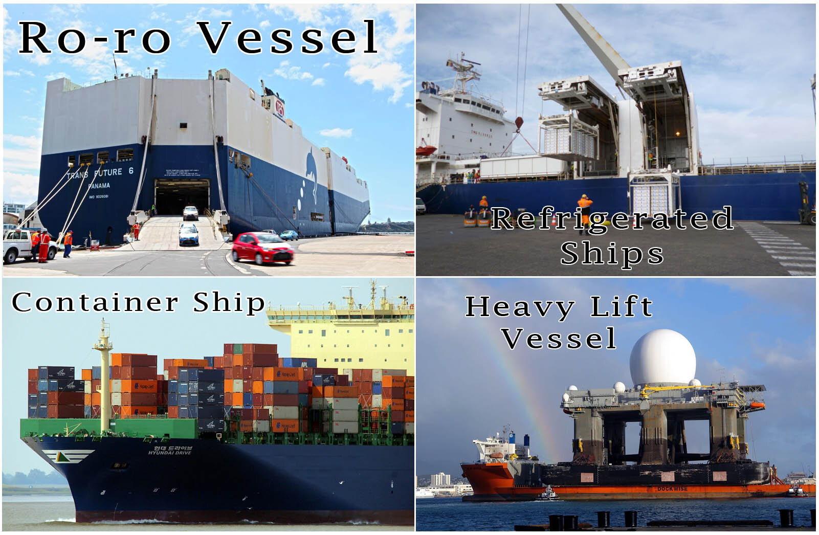 Dry Cargo Merchant ships: Ro-ro Vessel, Reefer, Container ship and Heavy Lift Vessels