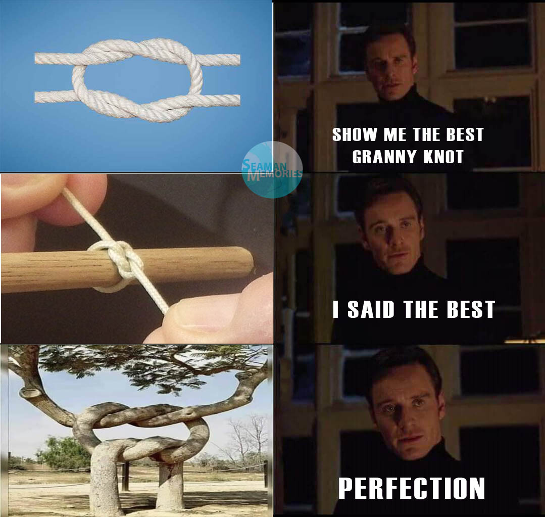 Granny Knot Meme where someone is looking for the best Granny Knot and it was made a a tree!