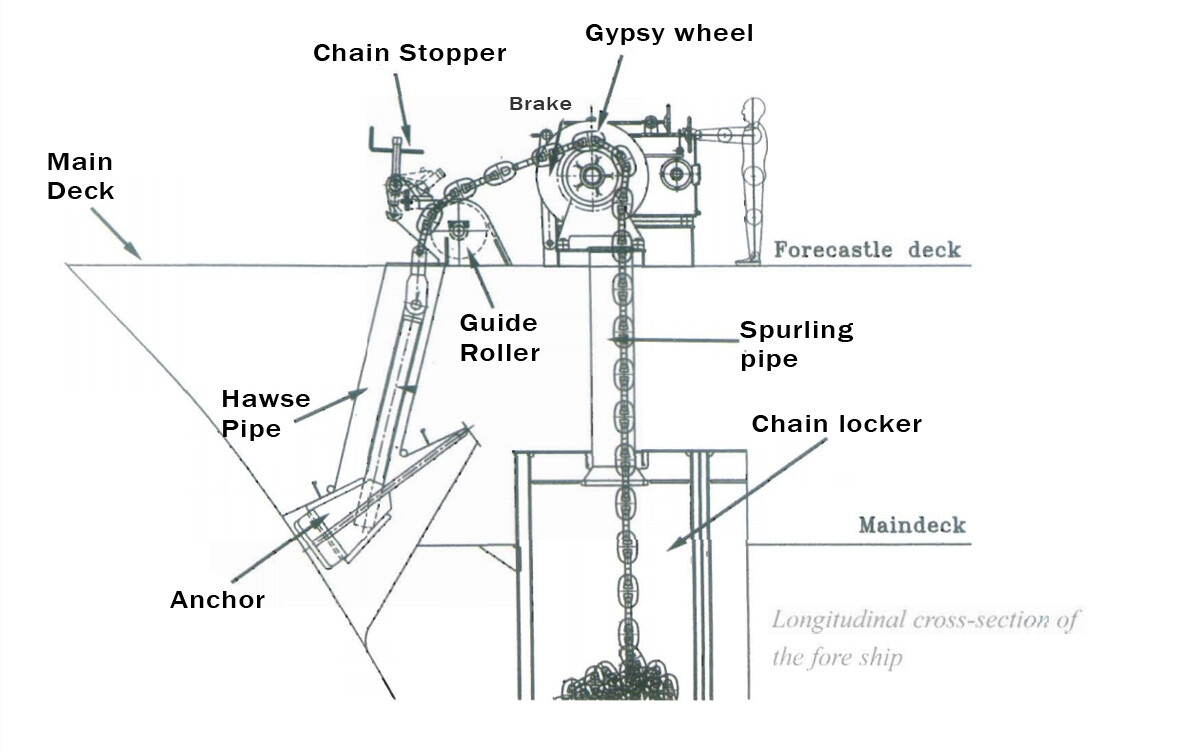Cross-sectional view of the anchor and windlass arrangement showing its different parts.