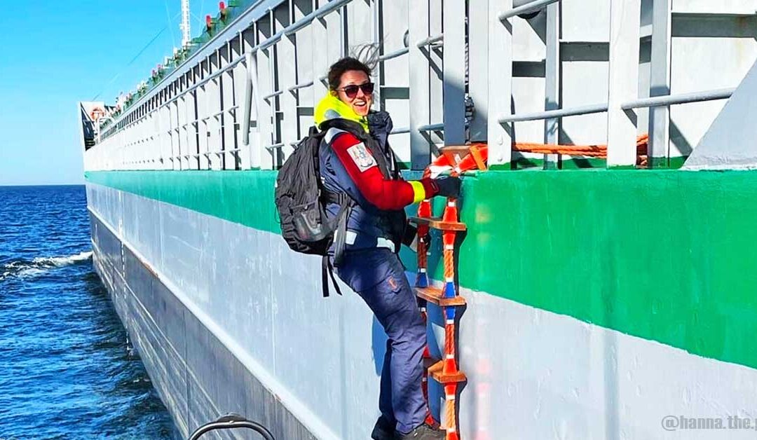 6 Different Types of Ladders Intended for Use on the Ship’s Side