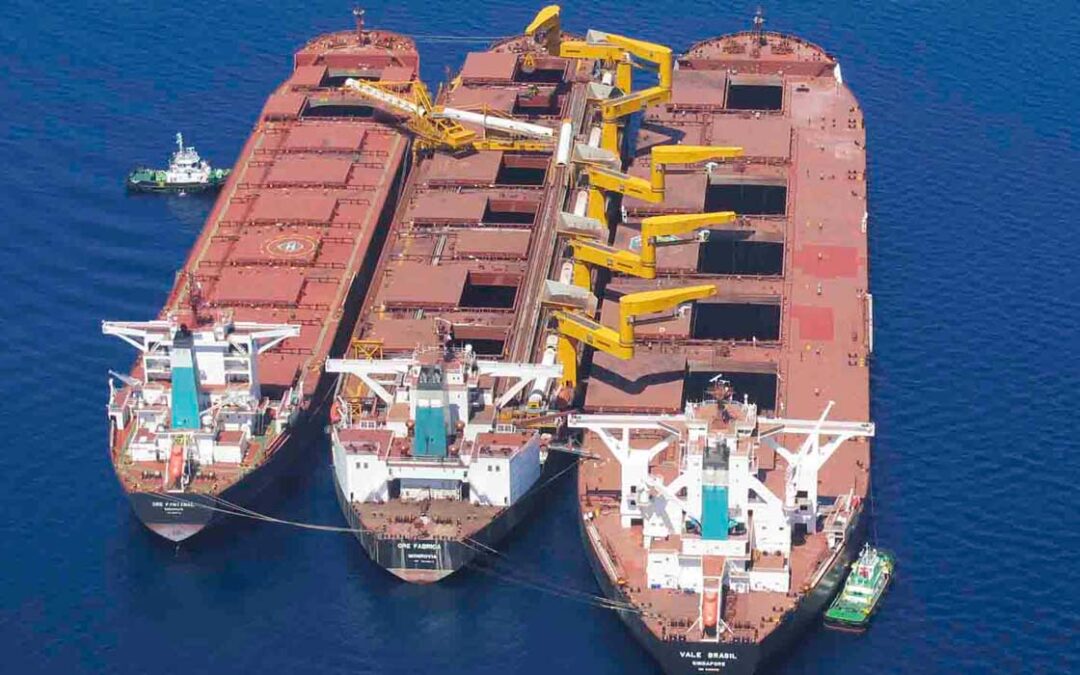 Types of Bulk Carriers by Design, Sizes, and Regional Trades