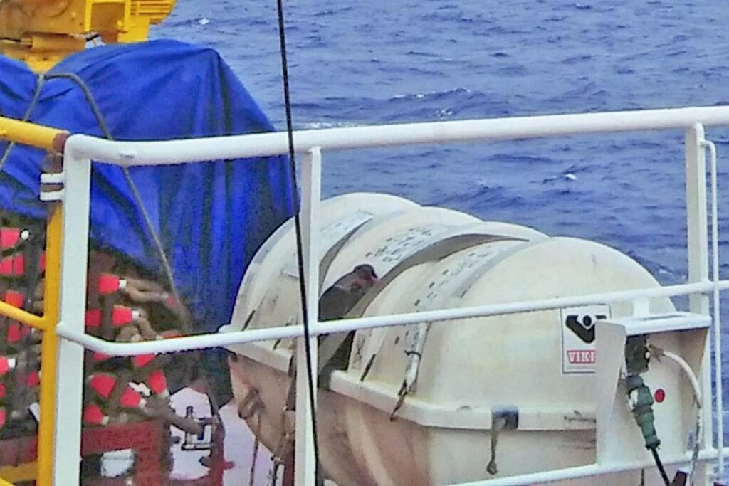 A liferaft beside the embarkation ladder ready to be deployed in times of emergency.